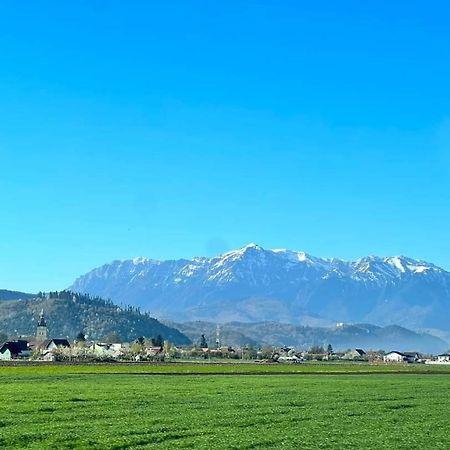 Neustadt Villa Cristian  Buitenkant foto