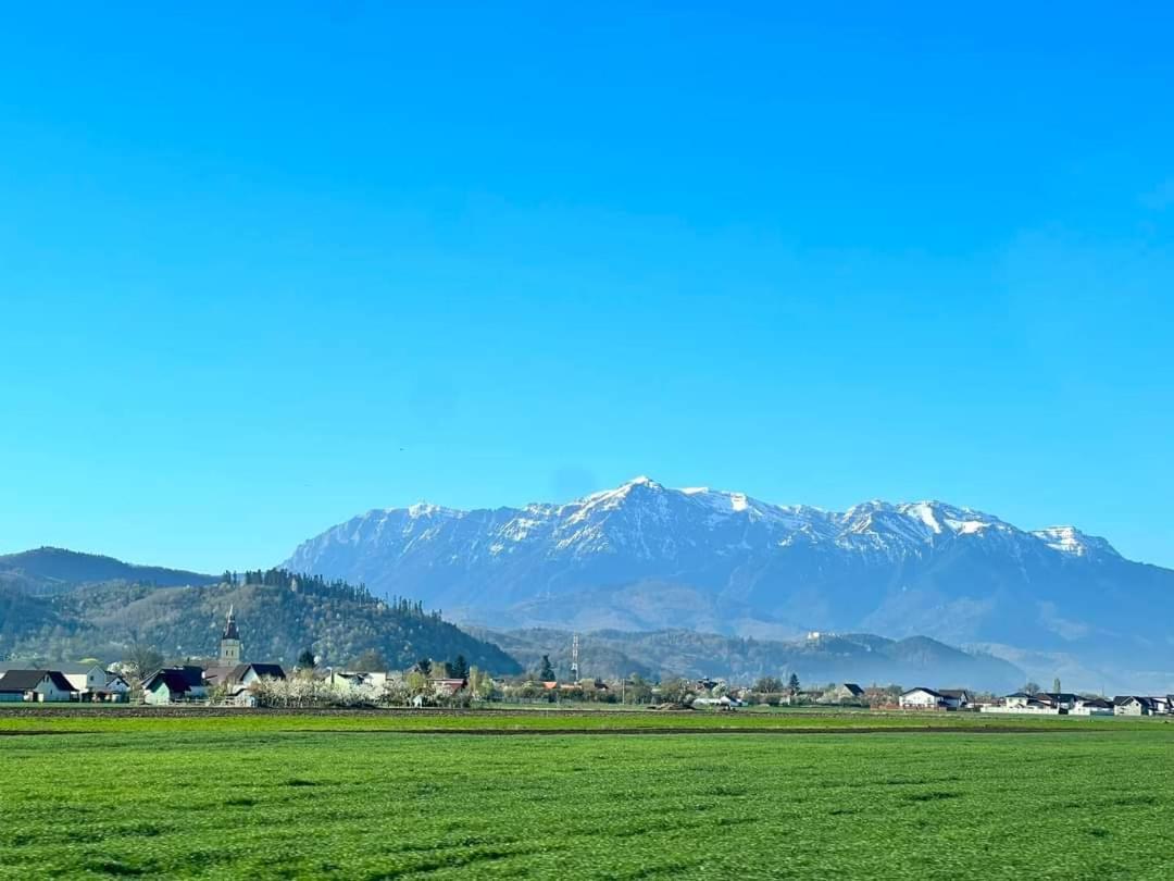 Neustadt Villa Cristian  Buitenkant foto